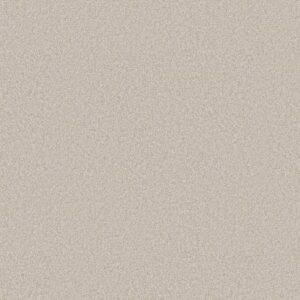 YOU GOT THIS II by Shaw Floors - Warm Light