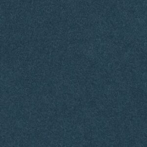 SOURCE II by Shaw Floors - Bayside