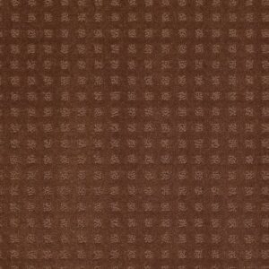 THE FAIR by Shaw Floors - Mocha Chip