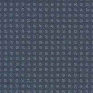 THE FAIR by Shaw Floors - Tropic Surf
