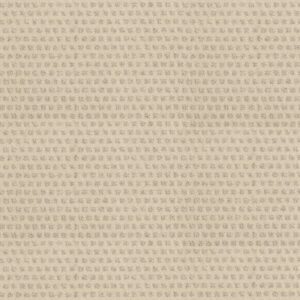 THE ARTS by Shaw Floors - Soft Fleece