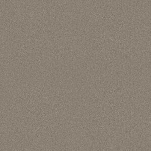 ALWAYS READY I by Shaw Floors - Arrowhead