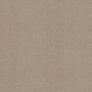ALWAYS READY I by Shaw Floors - Park Place