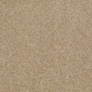 PICTURESQUE by Shaw Floors - Natural Wood