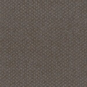 INFALLIBLE INSTINCT by Shaw Floors - Front Gate