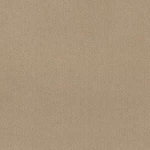 INFALLIBLE INSTINCT by Shaw Floors - Boutique
