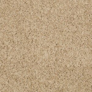 AROUND THE HOUSE II by Shaw Floors - Taffeta