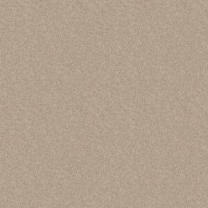 LACONA 15' by Shaw Floors - Taupe