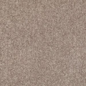 LARIMORE 12' by Shaw Floors - Aloe