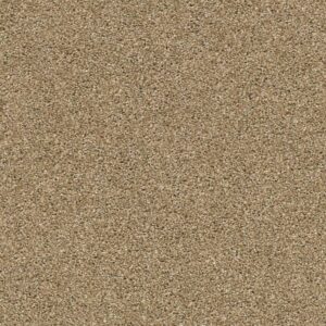 ALWAYS MINE by Shaw Floors - Lodge