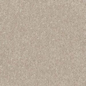 NEWBERN CLASSIC 15' by Shaw Floors - Plaster