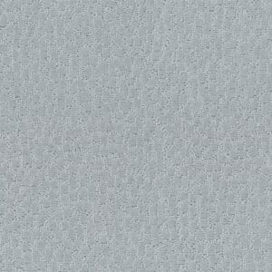 LATTICE by Shaw Floors - Silver