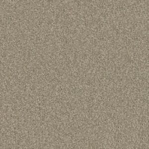 HONEST TO GOODNESS by Shaw Floors - Picture Frame