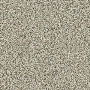 BREAK AWAY (T) by Shaw Floors - Stepping Stone