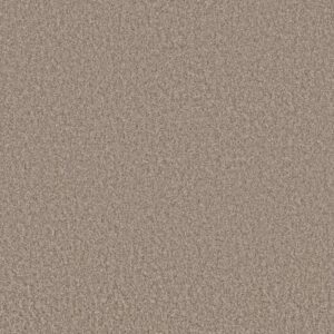 TAKE AWAY (T) by Shaw Floors - Frontier