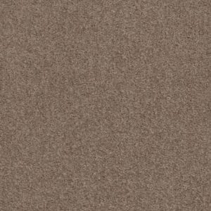 VALIANT by Shaw Floors - Northern Cliff