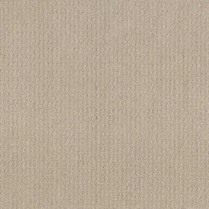 TRANSLATE by Shaw Floors - Biscuit