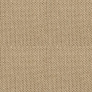 PROVEN IDENTITY LOOP by Shaw Floors - Mesa