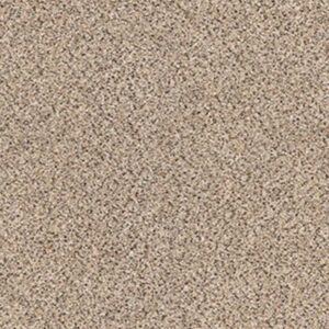 TAKE THE FLOOR ACCENT I by Shaw Floors - Desert Sunrise