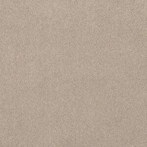 LIVE ON COMFORT by Shaw Floors - Natural Blonde