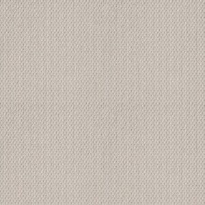FAINT INTENT by Shaw Floors - Winters Dawn