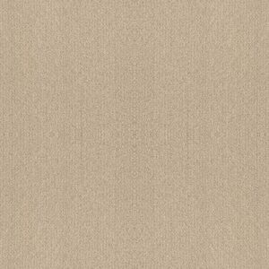 FINE TAPESTRY by Shaw Floors - Sun Kissed