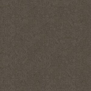BOUNDLESS III by Shaw Floors - Gateway