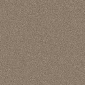 BOUNDLESS III by Shaw Floors - Treasure Trove