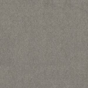 BOUNDLESS II by Shaw Floors - Distant Star