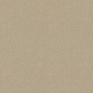 SUN VALLEY 12 by Shaw Floors - Ivory Tint