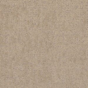 HOME WITHIN by Shaw Floors - Worn Path