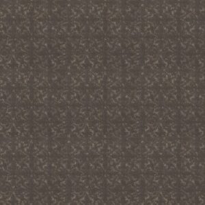 LIGHT IMPRESSIONS by Shaw Floors - Ashes