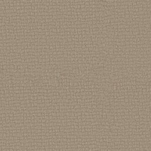 PATH HOME by Shaw Floors - Cameo