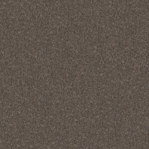 YES YOU CAN I 15' by Shaw Floors - Cafe Noir
