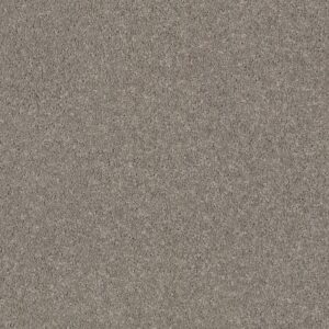 QUIET COMFORT CLASSIC I by Shaw Floors - Birch Bark