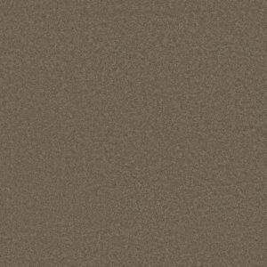 QUIET COMFORT CLASSIC III by Shaw Floors - Spring - Wood