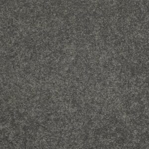 QUIET COMFORT CLASSIC III by Shaw Floors - Onyx