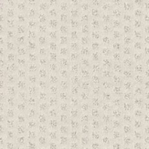 MY EXPRESSION by Shaw Floors - Great Falls