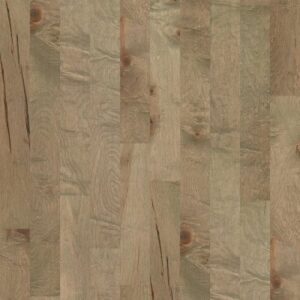 OCALA by Shaw Floors - Oceanside