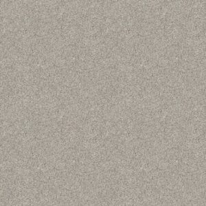 DELICATE DISTINCTION CLASSIC III by Shaw Floors - Baybridge