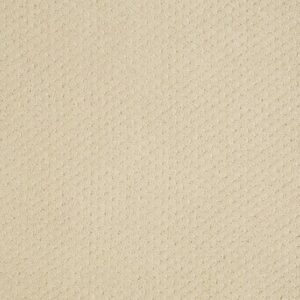 GENESIS by Shaw Floors - Linen