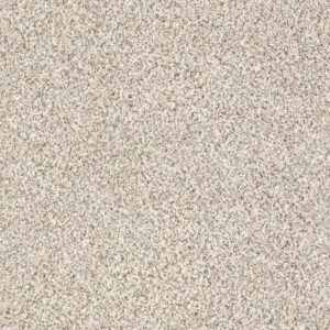 DEVON CLASSIC I by Shaw Floors - Heath