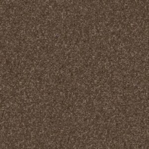 SWEET LIFE by Shaw Floors - Sedona