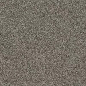 MY CHOICE I by Shaw Floors - Rustic Elegance