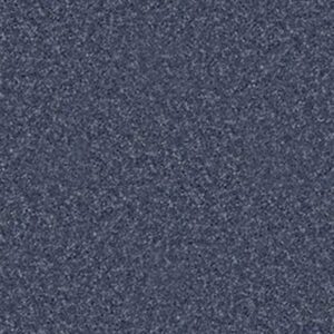 ALL STAR WEEKEND III 12' by Shaw Floors - Charcoal