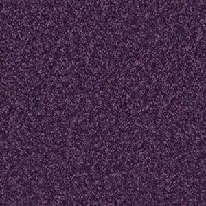 ALL STAR WEEKEND I 12' by Shaw Floors - Grape Slushy