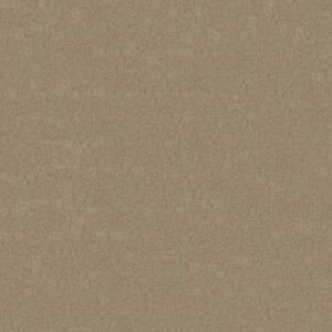 MY CHOICE III by Shaw Floors - Lattã