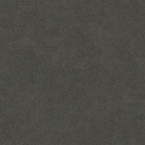 MY CHOICE III by Shaw Floors - Graphite