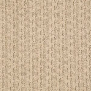 SPACE LINE by Shaw Floors - Chamois