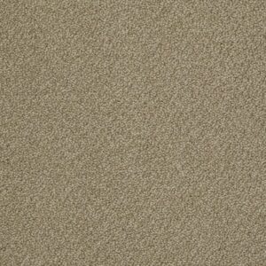 WHAT A SURPRISE by Shaw Floors - Suede
